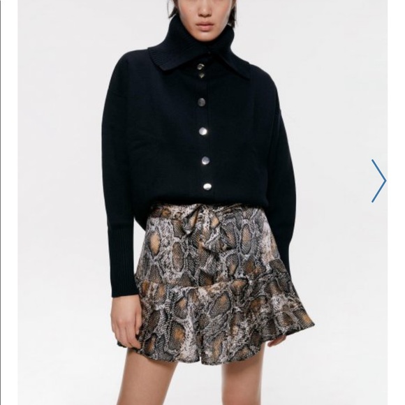 Zara snake print mini. - Picture 4 of 5